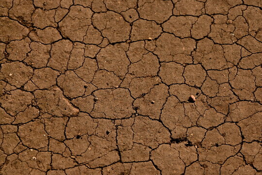 dry cracked earth