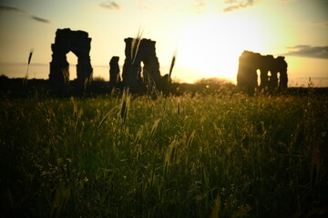 sunrise over the field