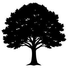 silhouette of a tree