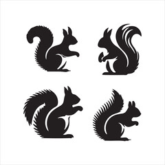 black and white Squirrel