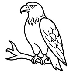 Fototapeta premium eagle vector illustration