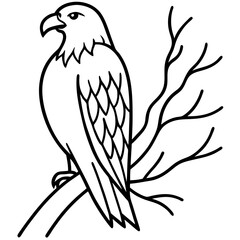 Fototapeta premium eagle vector illustration