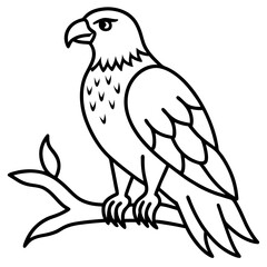 Fototapeta premium eagle vector illustration