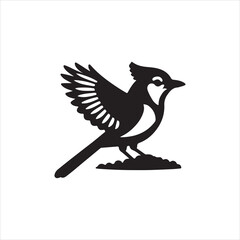 bird on a white background