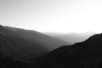 Layered forest covered mountains with fog. Black and white landscape photo