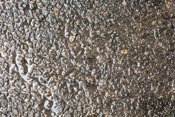 wet road