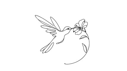 flying hummingbird peaking its beak into a flower one line drawing illustration © Ibrahim