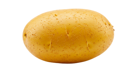 A single yukon gold potato with small eyes and brown spots against a black background in close up view