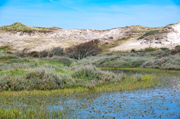 A lake in the dune nature reserve