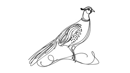 minimalist continuous one line drawing illustration of a ring-necked pheasant
