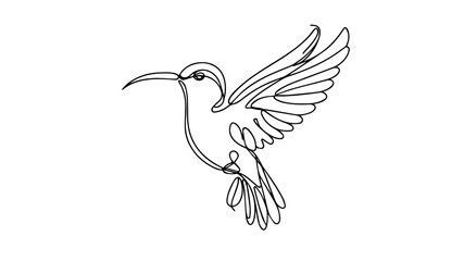a realistic hummingbird one line drawing