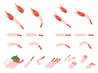 甘えびと赤エビの刺身のイラスト素材