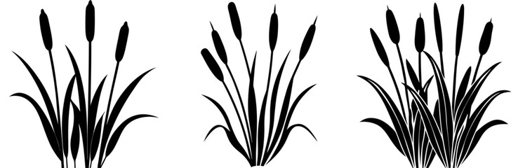 Cattail Silhouette Vector Art