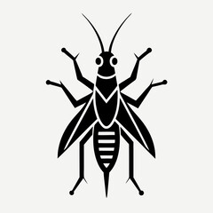 vector illustration of a grasshopper