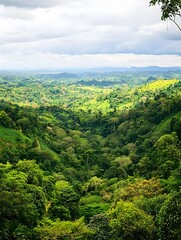 Fototapeta premium Breathtaking Nature Landscape: Scenic View of Greenery, Hills, and Valleys with Vibrant Flora and Wildlife