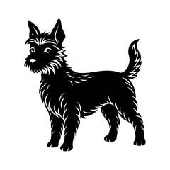 Obraz premium Black and white cat