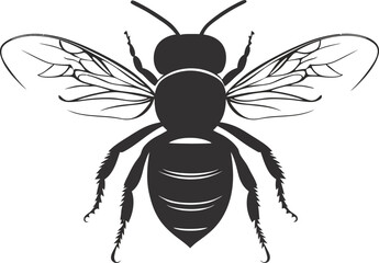 vector illustration of a bee