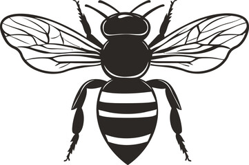 vector illustration of a bee