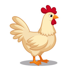 Fototapeta premium Cartoon chicken standing proudly on a white background 