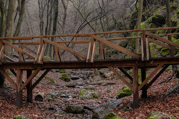 old wooden bridge