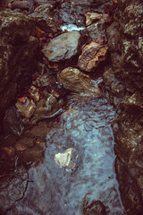 stones in the stream