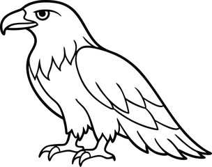 eagle bird coloring book page, eagle line art vector