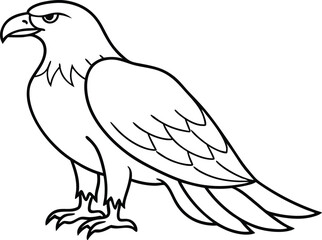 eagle bird coloring book page, eagle line art vector