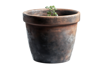 Pot Cores isolated on white or transparent background.