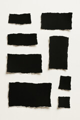 Black Torn Paper Collection on Light Background