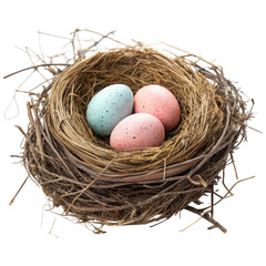 Obraz premium Small Bird’s Nest with Pastel Easter Eggs Isolated on White