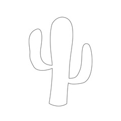 cactus illustration