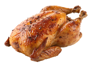 Broiled seasoned chicken isolated on transparent background
