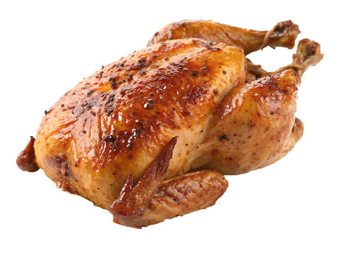 Broiled seasoned chicken isolated on transparent background