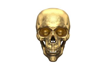Gold Skull on transparent Alpha Channel Background for easy drag and drop use...
