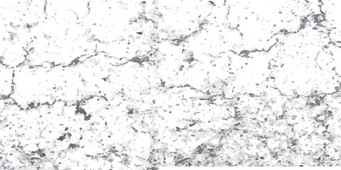 Obraz premium Vector Textures of Cracked Ground, Wall, and Floor Surfaces from Earthquake Damage in Black, White, and Grey, Capturing Realistic Fractures and Surface Breaks for Use in Design Projects