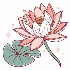 lotus illustration vector