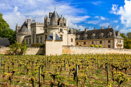  Famous beautiful medieval castles of France. Chateau de Breze in the Loire Valley, wit splendid vineyards and renaissance architecture