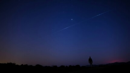 Night sky wanderer silhouette