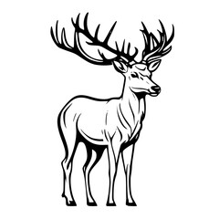 Obraz premium deer vector illustration