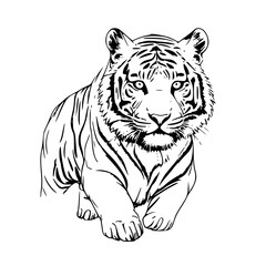 Fototapeta premium tiger vector illustration