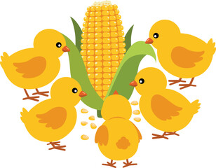 Set of five yellow chicks eating an ear of sweet corn