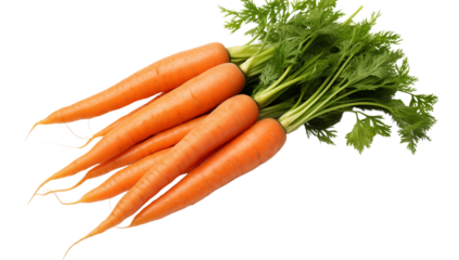A bunch of fresh carrots with green tops lying on a  in a studio shot view on transparent background png