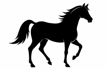 arabian horse sihouette black vector