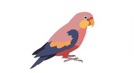 Obraz premium Rosella parrot perched in minimal white background