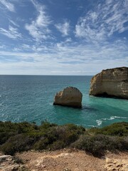 Fototapeta premium A week in nature 