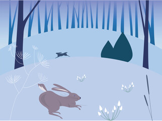 Hares running in snowy woodland. 