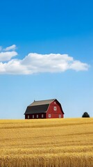 Red Barn and Golden Wheat Field Under Sunny Blue Sky: Capture Rural Landscaping Beauty and Agricultural Charm