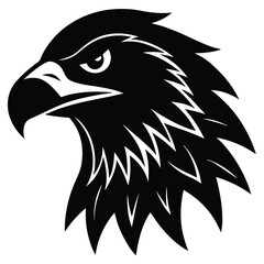 eagle head vector illustration
