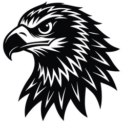 eagle head vector illustration