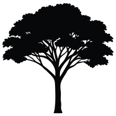 Banyan tree silhouette
